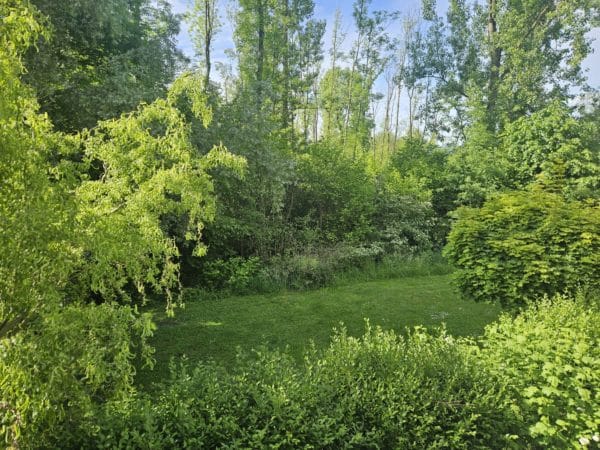 Magnifique duplex + jardin dans PPE de 12 unités  – Image 15