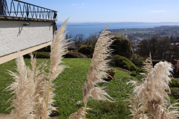 Corcelles : Villa en lisière de forêt avec vue sur le lac et les alpes